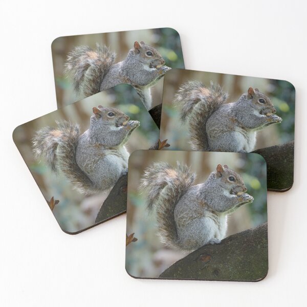 Item preview, Grey Squirrel designed and sold by DesWhelan.