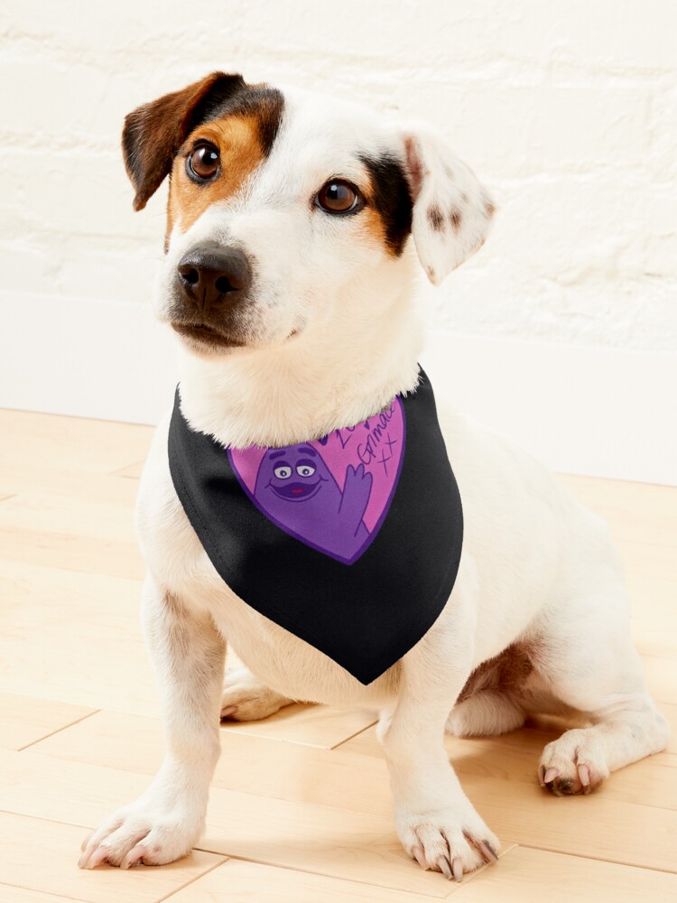 Valentines dog outlet bandana