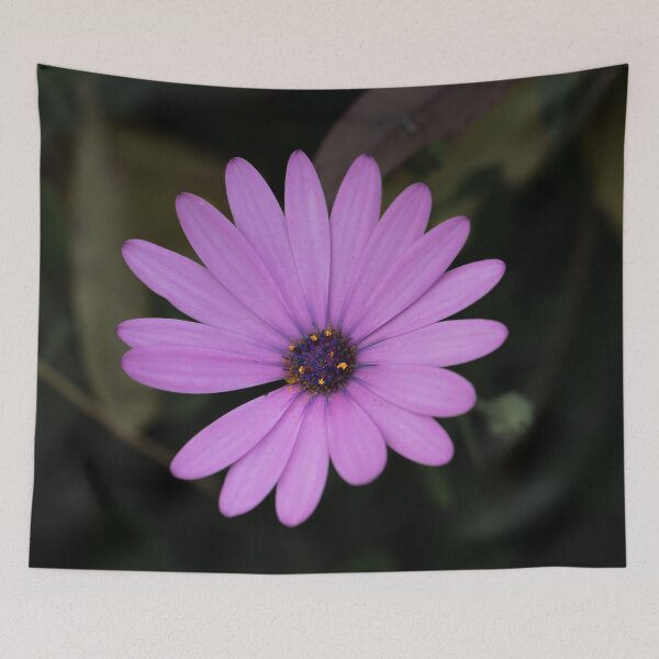 Item preview, Simplicity designed and sold by Jacquiamber.