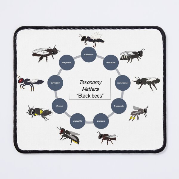 Item preview, Taxonomy Matters designed and sold by BeeBabette.