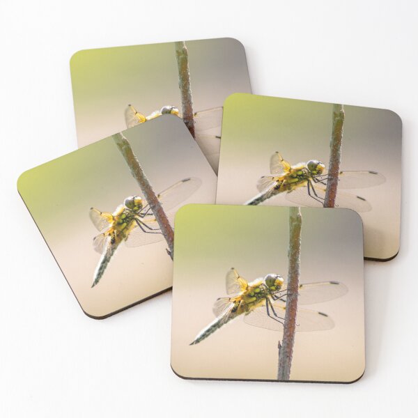 Item preview, Beautiful dragonfly in the summer sunshine designed and sold by Your Happy Life.