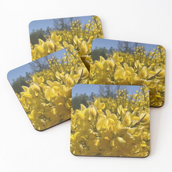 Item preview, Scotch broom designed and sold by Betsy Phillips.