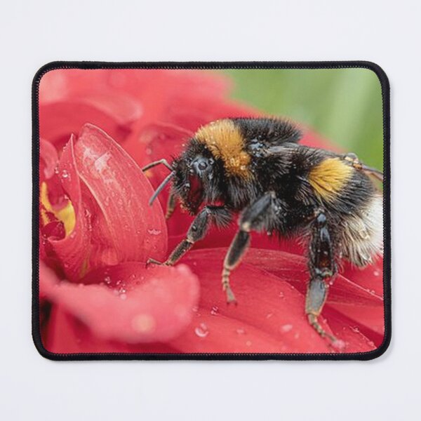Item preview, Buzzing wonder: a bumblebee in the heart of the flower – natural art at its most beautiful! designed and sold by FotoworldEdel.