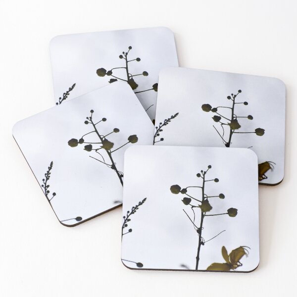 Item preview, A Beautiful Snap of new leave of Plants designed and sold by Rav33822.