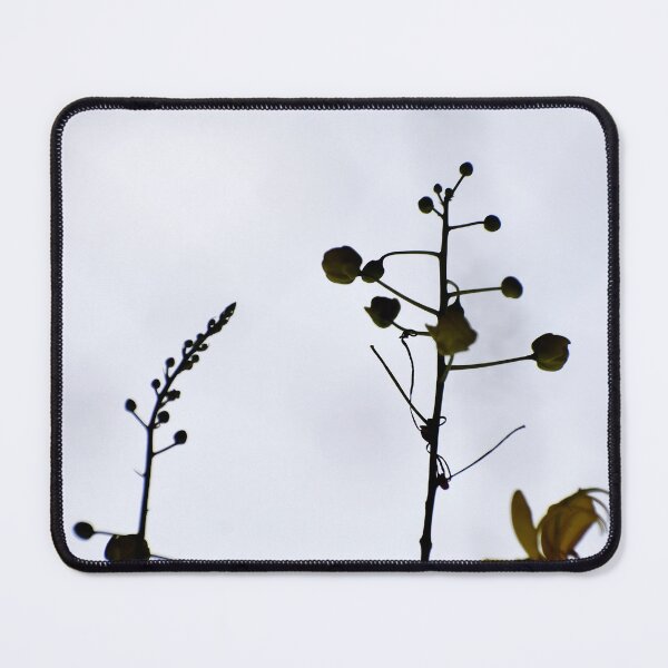 Item preview, A Beautiful Snap of new leave of Plants designed and sold by Rav33822.