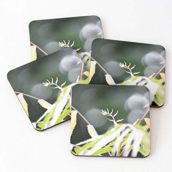 Item preview, A Beautiful Snap of new leave of Plants designed and sold by Rav33822.