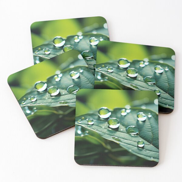 Item preview, Beautiful large drops of transparent rainwater on a green leaf macro designed and sold by Gabi.Media.