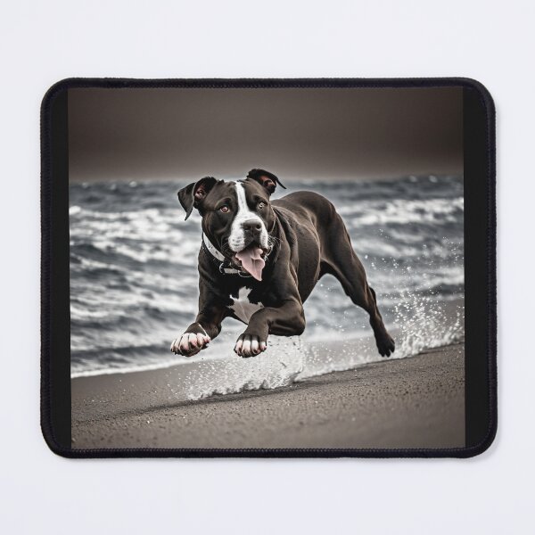 Item preview, Black and White Pitbull on the beach designed and sold by Shiwwa.