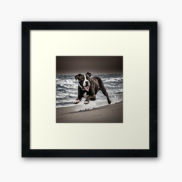 Artikel-Vorschau von Black and White Pitbull on the beach, designt und verkauft von Shiwwa.