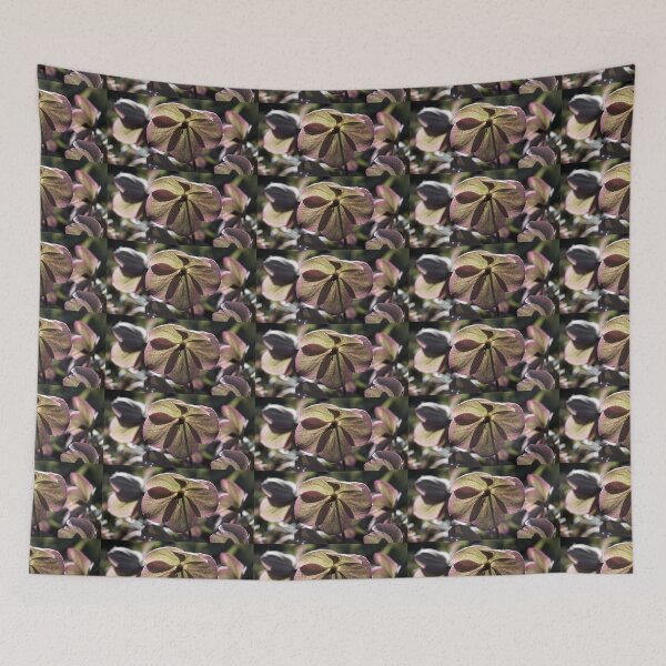 Item preview, Beautiful Hellbore Flower Pano designed and sold by Imladris01.