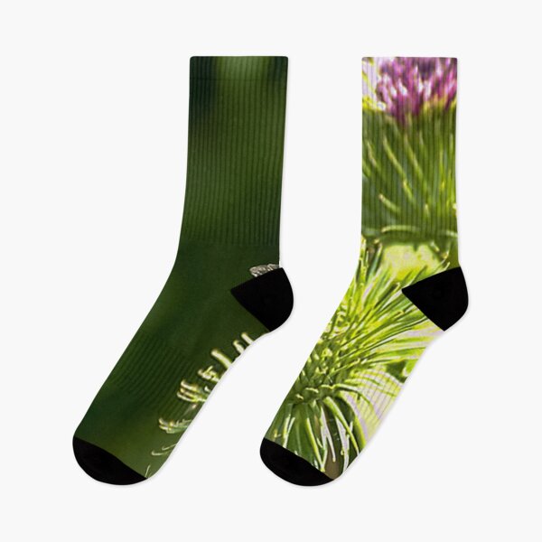 Item preview, Thistle and Visitor designed and sold by SRosuphotos.