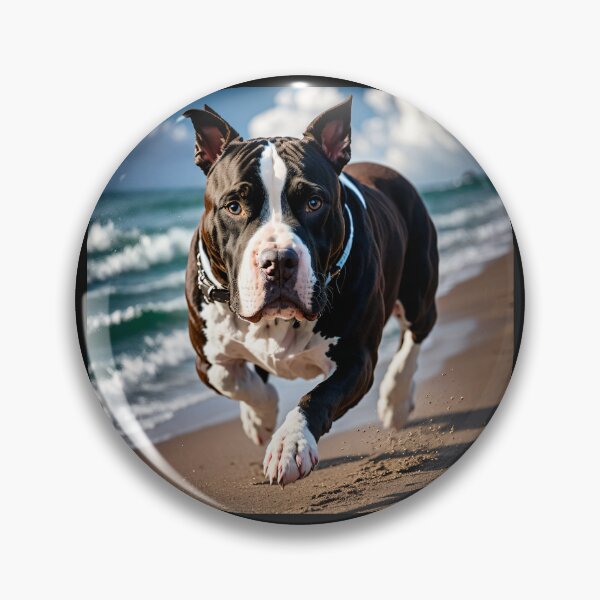 Item preview, Black and White Pitbull on the beach #2 designed and sold by Shiwwa.