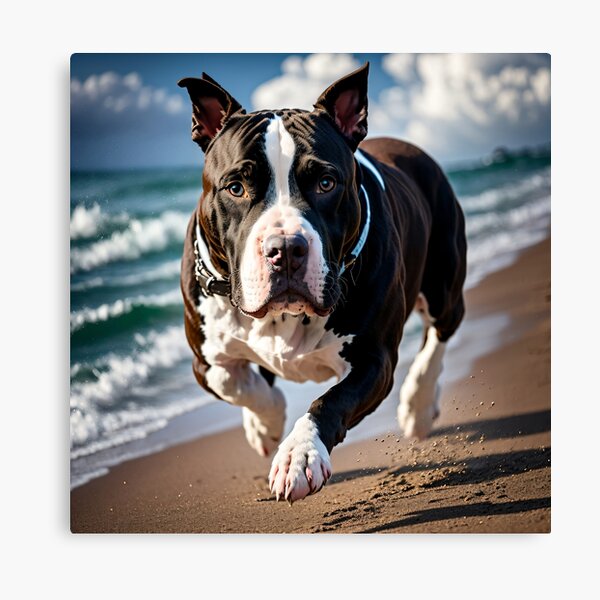 Artikel-Vorschau von Black and White Pitbull on the beach #2, designt und verkauft von Shiwwa.