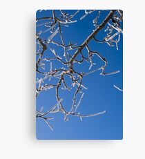 Tentacle Canvas Print