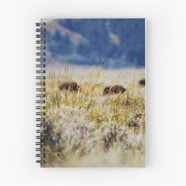 Item preview, Focused designed and sold by Jennifer Suttle.