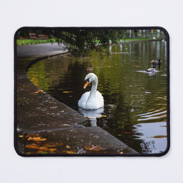 Item preview, Swan Pond designed and sold by Daniel's Destinations.