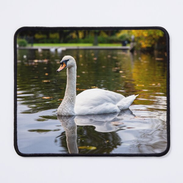 Item preview, Swan Pond 2 designed and sold by Daniel's Destinations.