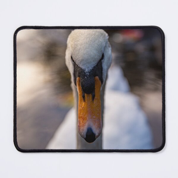 Item preview, Dublin Swan designed and sold by Daniel's Destinations.