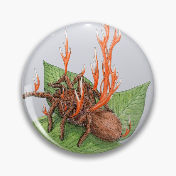 Item preview, Cordyceps Tarantula (Cordyceps caloceroides) designed and sold by paintedpansy.