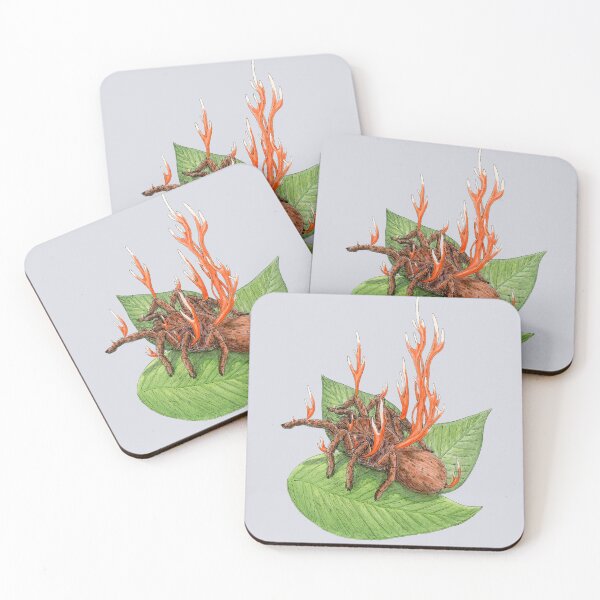 Item preview, Cordyceps Tarantula (Cordyceps caloceroides) designed and sold by paintedpansy.