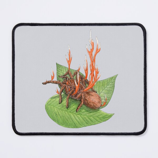 Item preview, Cordyceps Tarantula (Cordyceps caloceroides) designed and sold by paintedpansy.