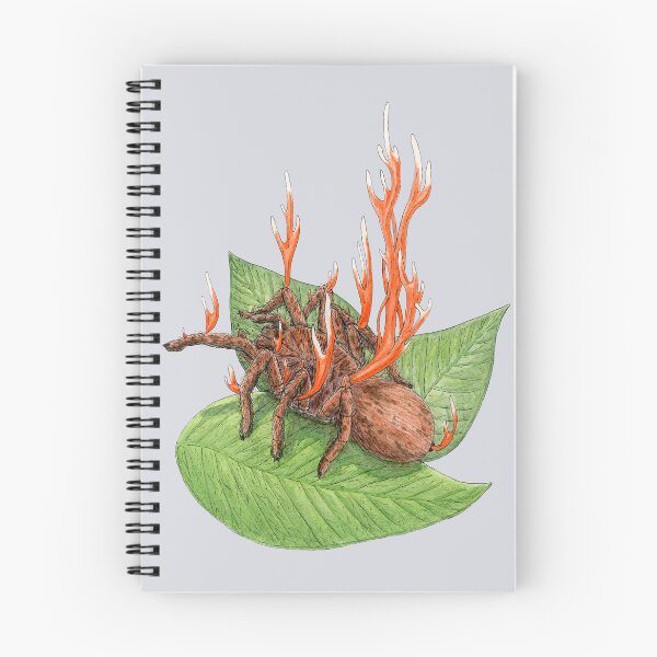 Item preview, Cordyceps Tarantula (Cordyceps caloceroides) designed and sold by paintedpansy.