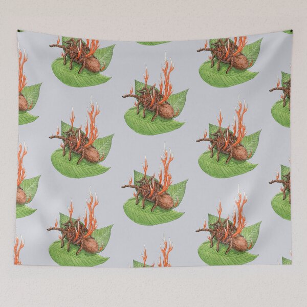 Item preview, Cordyceps Tarantula (Cordyceps caloceroides) designed and sold by paintedpansy.