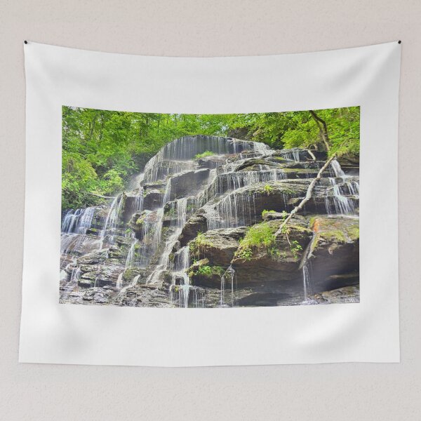 Item preview, Yellow Branch Falls Oconee County South Carolina designed and sold by LisaWootenPhoto.