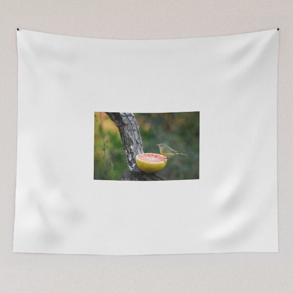 Item preview, Orange-Crowned Warbler designed and sold by Jennifer Suttle.