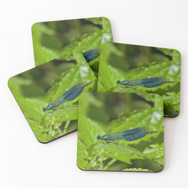 Item preview, Banded demoiselle designed and sold by xophotography.