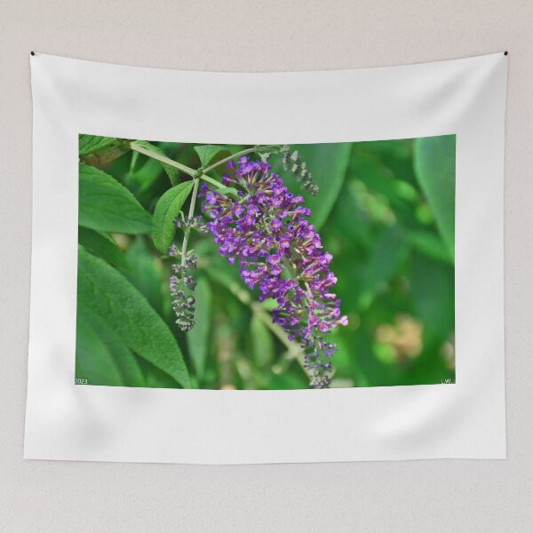 Item preview, Butterfly Bloom designed and sold by LisaWootenPhoto.