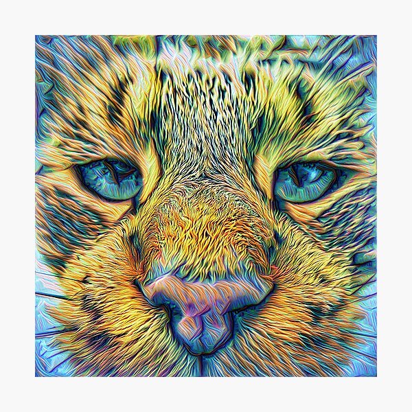 Photographic Print