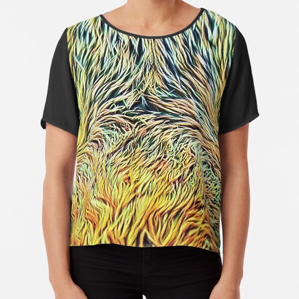Chiffon Top