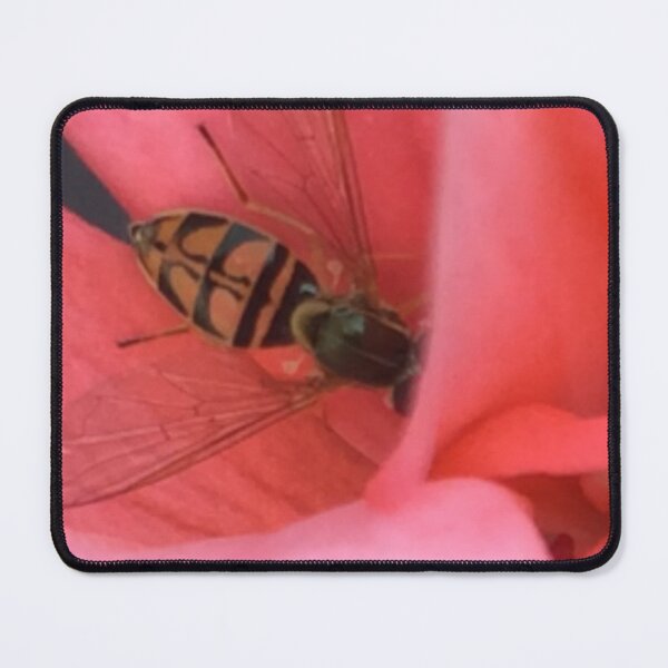Item preview, Bug Resting on Pink Flower designed and sold by RPoli3.