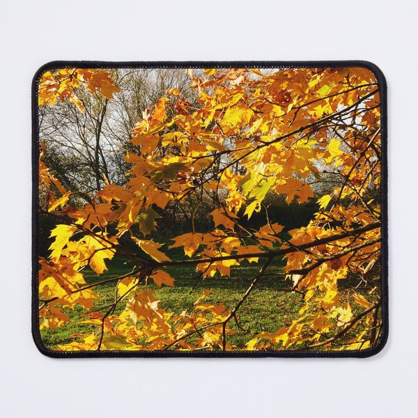 Item preview, Autumn leaves designed and sold by ScenicViewPics.