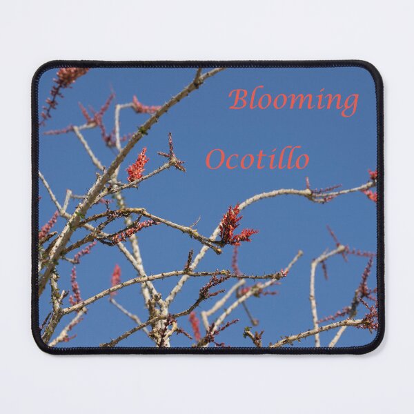 Item preview, Blooming Ocotillo designed and sold by devenm.