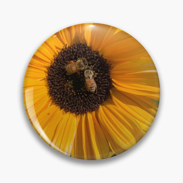Artikelvorschau, Zwei Bienen auf einer Sonnenblume entworfen und verkauft von RPoli3.