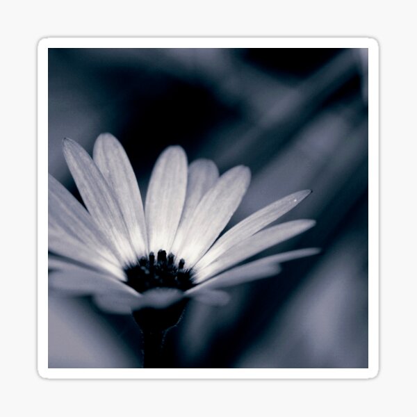 fleur Sticker