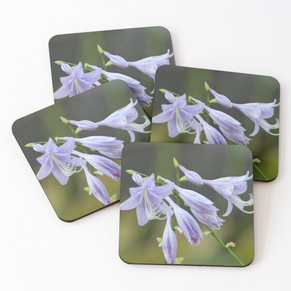 Item preview, Creeping Bellflower designed and sold by RPoli3.