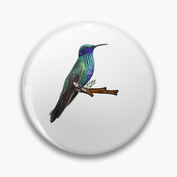 Item preview, Captivating Colibry designed and sold by pedroserpa.