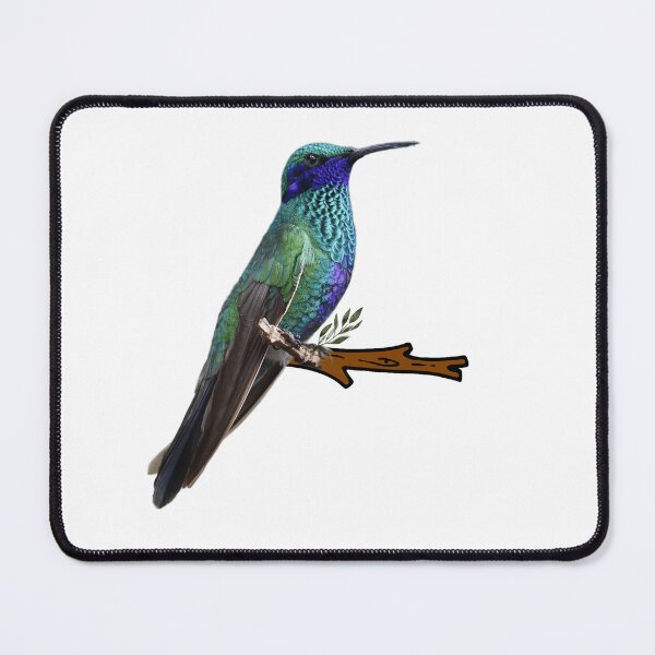 Item preview, Captivating Colibry designed and sold by pedroserpa.