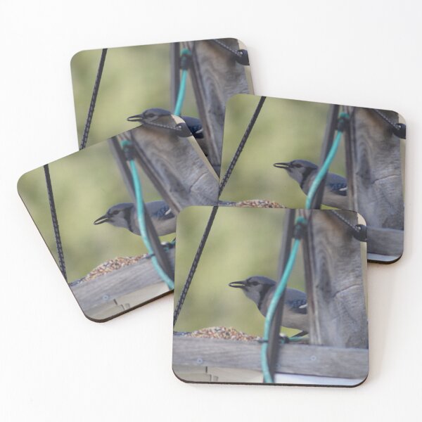 Item preview, Blue Jay Eating In Birdfeeder designed and sold by RPoli3.
