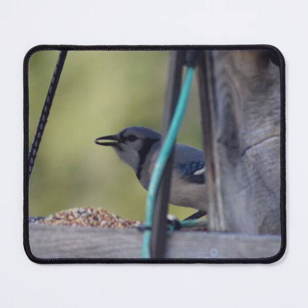 Item preview, Blue Jay Eating In Birdfeeder designed and sold by RPoli3.