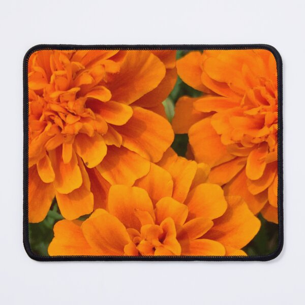 Item preview, Burnt Orange Mum Flowers designed and sold by RPoli3.