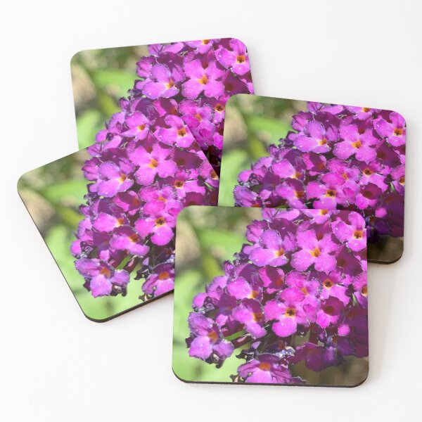 Item preview, Buddleia Purple Haze Bush designed and sold by RPoli3.