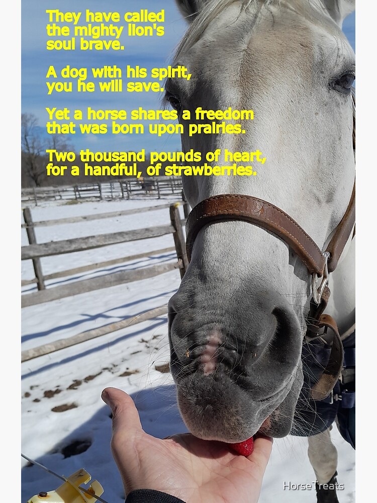 Friandise à la Fraise pour Chevaux