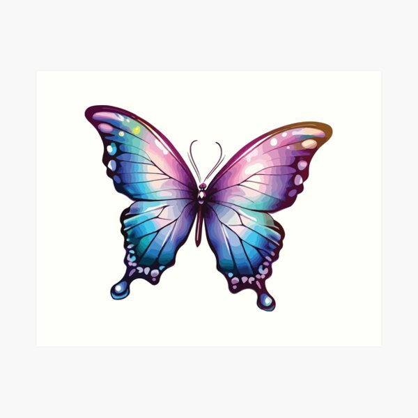 Butterfly Drawing Pictures | Download Free Images on Unsplash