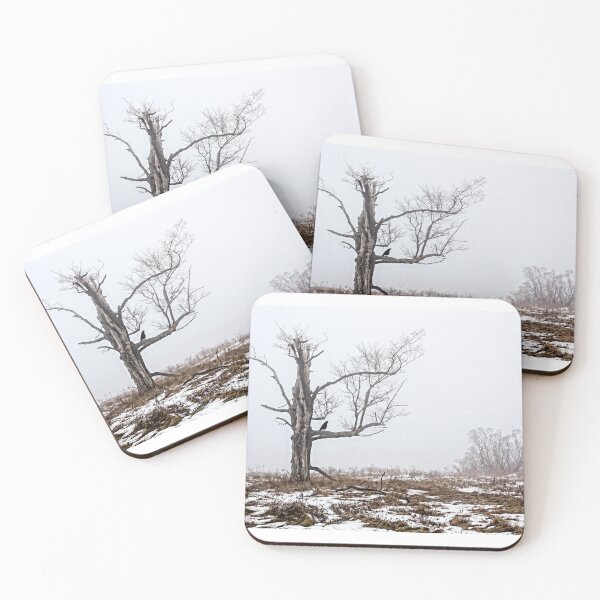 Item preview, Lone Tree In Fog designed and sold by Robert Alsop.