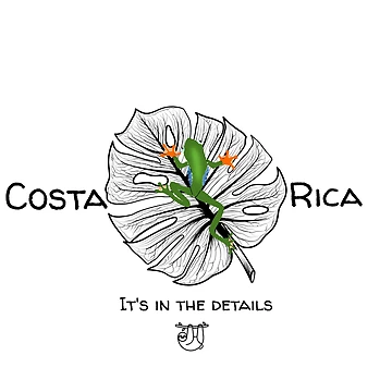 Artwork thumbnail, Costa Rica Nature Frog by JungleJava