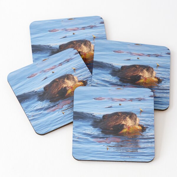 Item preview, Adult Beaver Feasting on Water Lily Plants (1) designed and sold by Monica-Stroud.